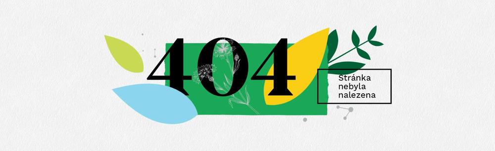 404 image